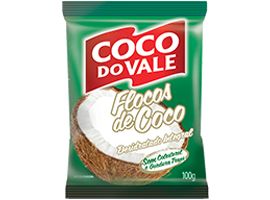 Coco Ralado Flocos Desidratado Integral 100g